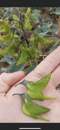 138C4C5D-5720-48B8-B51C-402AF678A4E9