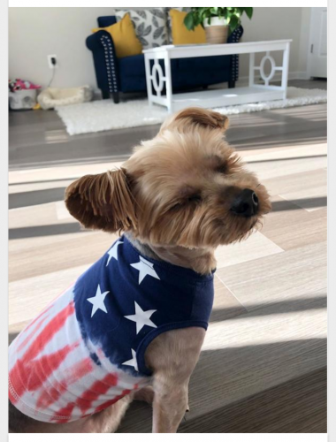 Screenshot_20210504-192805~2