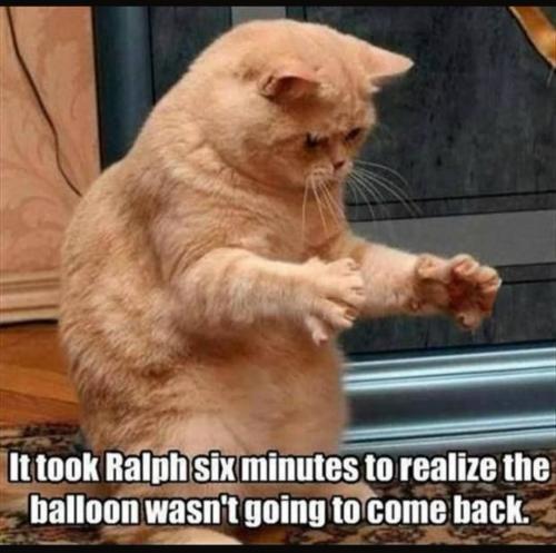 202261564_519175589229928_6243923964451488302_n