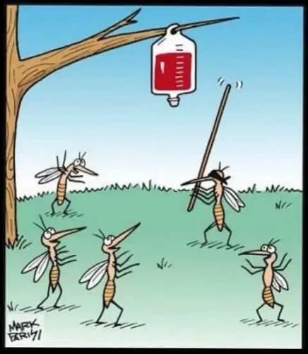 5744DE05-3450-4C83-9A36-2C8D1FB5EC09