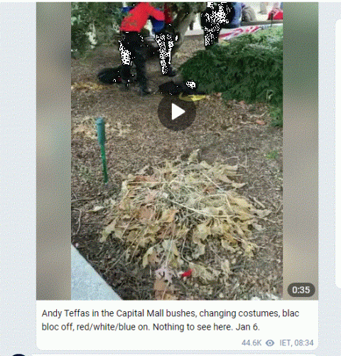 Andy Teffas in bushes