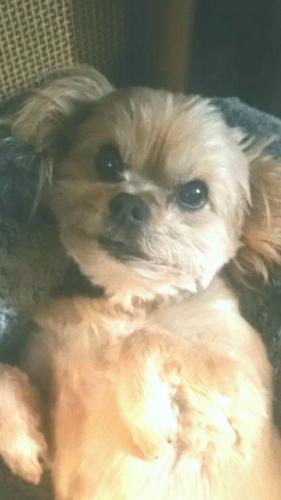 Resized_Screenshot_20180829-172621_207173739983207