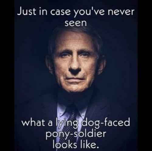 15DC9369-FDAF-439A-ABAA-32DF3139D544