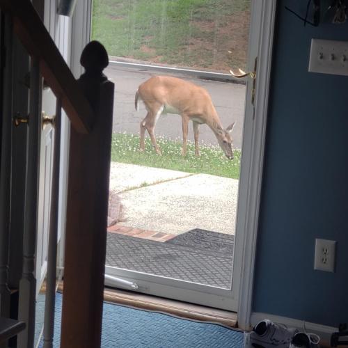 IMG_20210620_170958_900