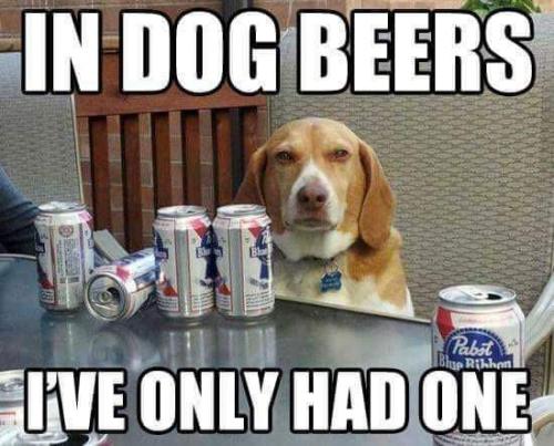 FB_IMG_1624041817203