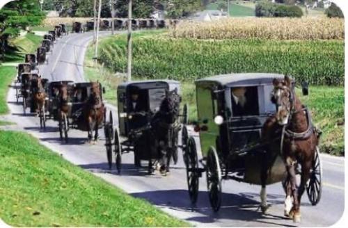 230D0D17-51EA-4545-9DA0-1293953A17F8