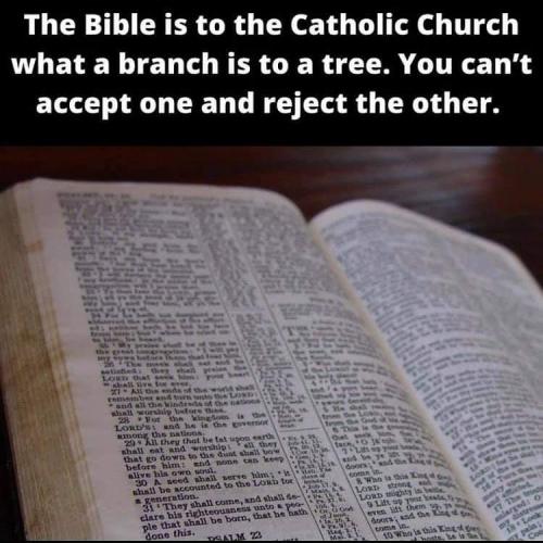 IMG_20210604_001249_644