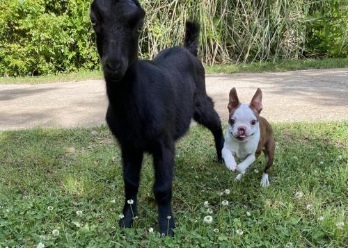 9F28BD3F-5ADE-4703-AD1D-05FC2735E925