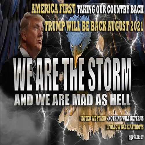 1-1-A-A-A-A-A-WE-ARE-THE-STORM-HEADER2021-MEME