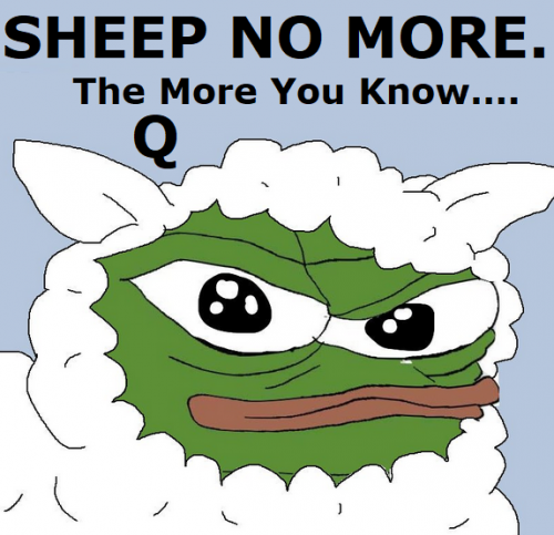 TRUMP.Q.KEKSHEEPNOMORE.