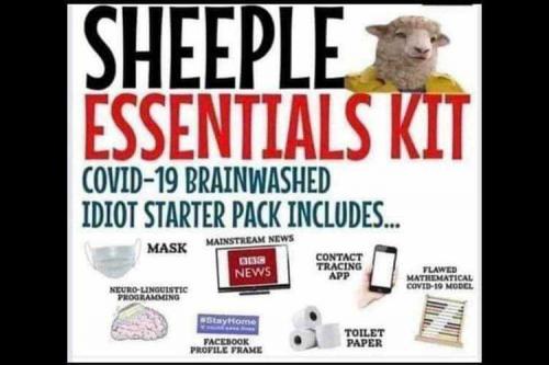 Sheeple Kit