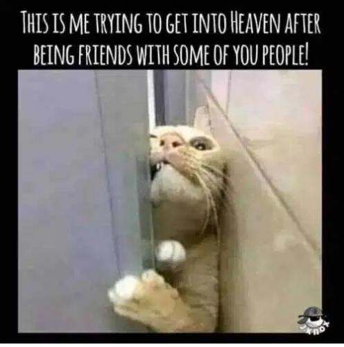 5A765A9C-CDDE-446A-B76A-A51EF964F556