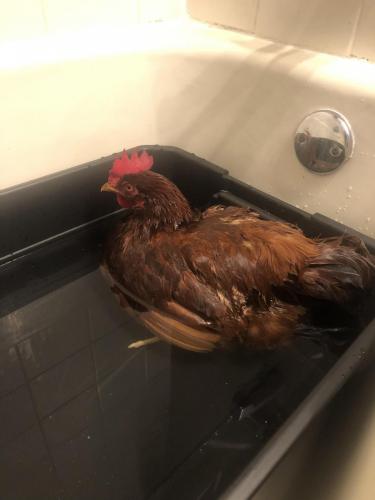 26B6ED11-1667-43CA-8FF5-7A6E669CF711