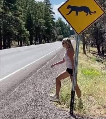 IMG_20210618_114721_110