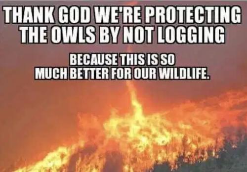 3CBCC205-F5BB-4AD8-ABC7-CAD579A5EA0C