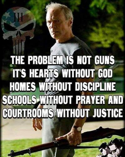 THE PROBLEM IS NOT GUNS