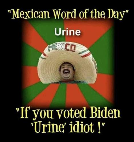 Word od the Day - Urine