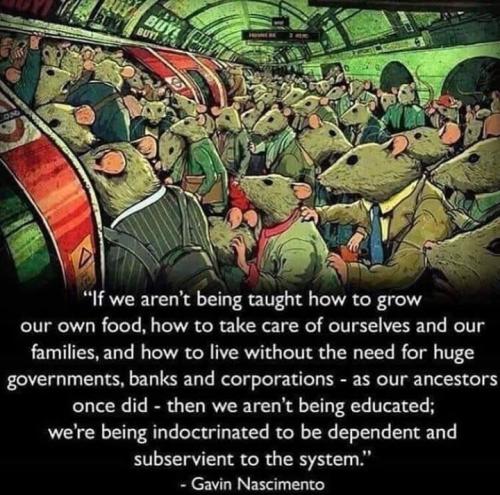 76062673-4ABC-4DA5-9262-8FBE58089215