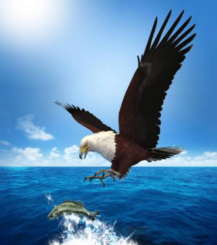 istockphoto-672968364-612x612