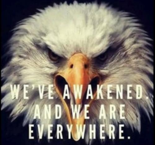 58D693E3-41A0-45F6-B6DF-D5F185B41319