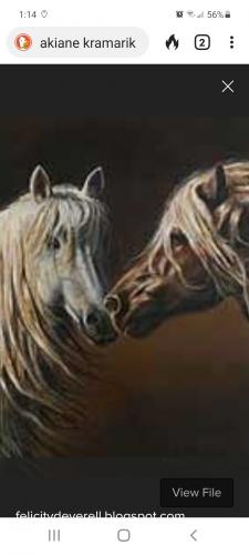 Screenshot_20210628-131435_DuckDuckGo