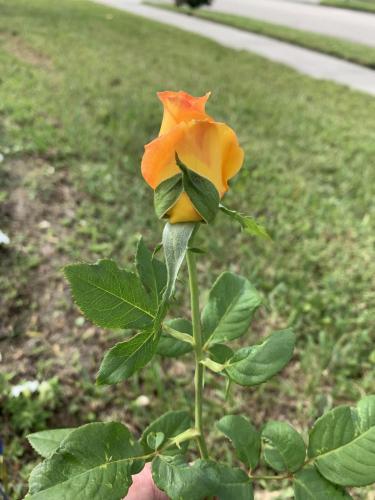 095C72FA-0739-4D6E-A3D2-3109227F8B95