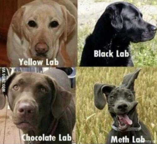 8CE563AF-8982-446E-ACF0-5D9236713C81