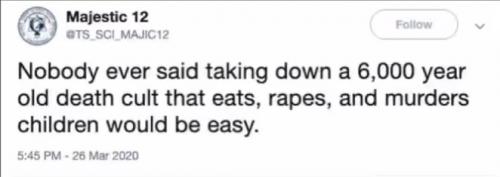 majestic12 982341575784930306