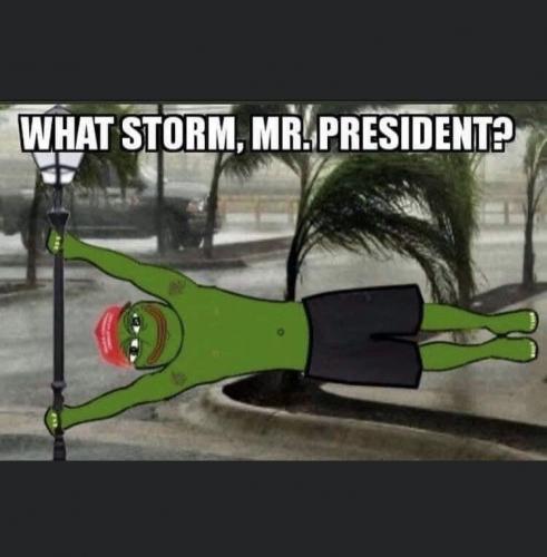 TRUMP.Q.KEKWHATSTORMMRPOTUS.