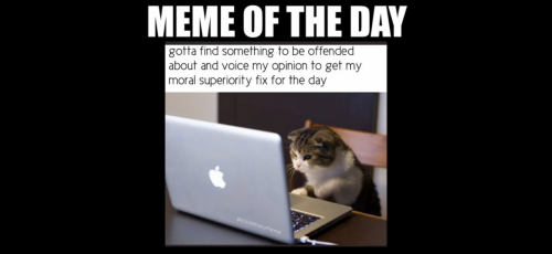 DE499A68-0297-4E49-A4E1-E4362E375699