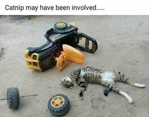 93B74B6E-EC9F-4FA6-B8B3-A407CA18A14A