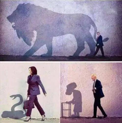 DD531450-0F4F-4FD5-A356-010F63F31F53