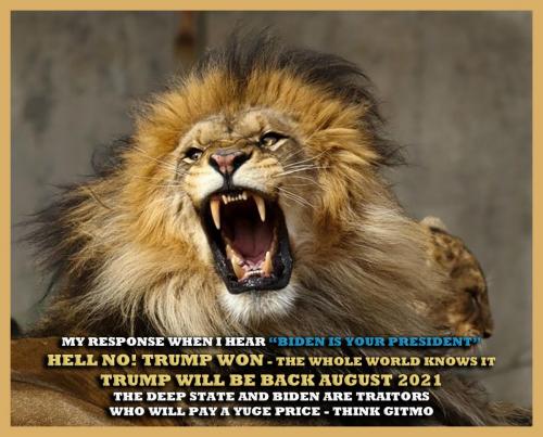 1-1-A-A-A-A-LION-BIDEN-1