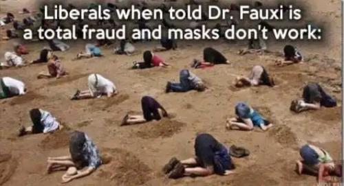 19417D28-1DEA-4565-A92F-2501A380B7C3