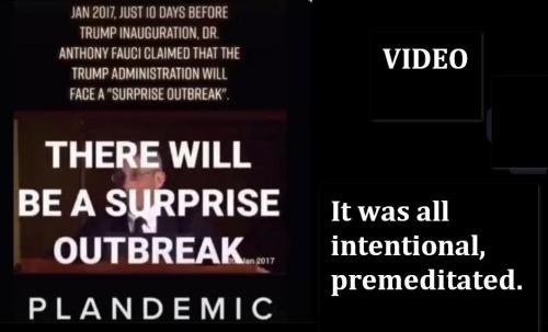 2021-06-05 at 13-51-49_cr