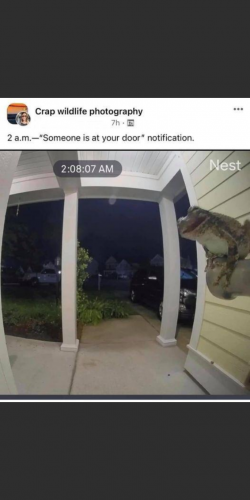 Screenshot_20210618-204527