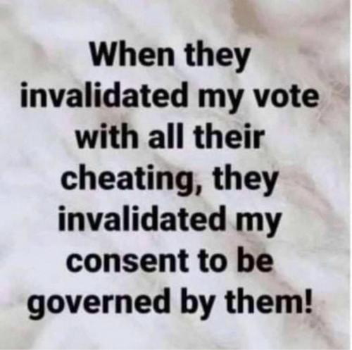 when they invalidated my vote 928143273575458046