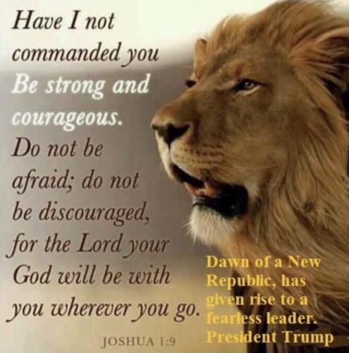 76DE7E8D-BF12-4904-82E5-6560DCA04EBD