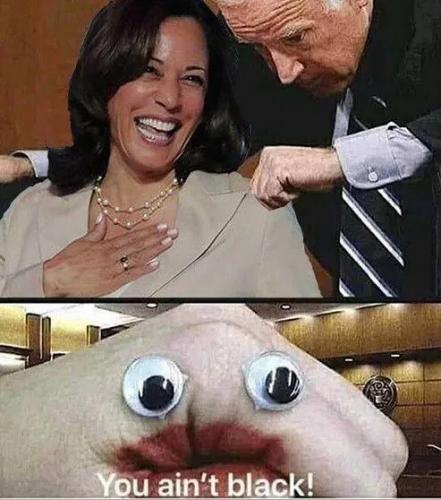 2634CD4F-F814-4144-9362-3D94B2CB49B5