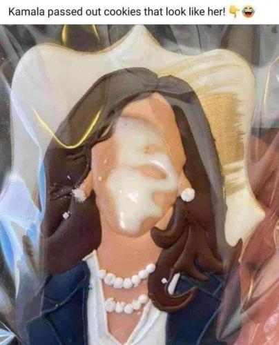 maya has cookies 12378455079054785045