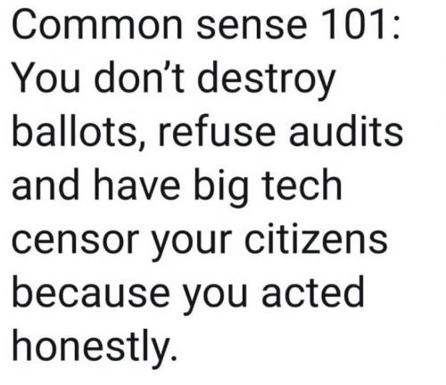 TRUMP.Q.STOLENELECTION.A.