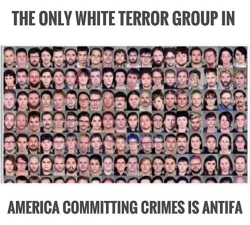 THE ONLY WHITE TERROR GROUP