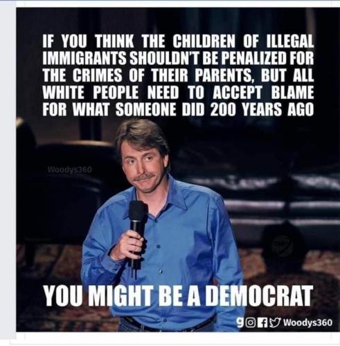 you might be a democrat