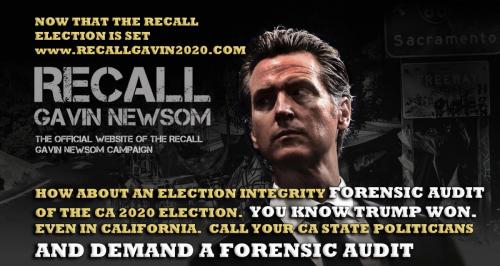 1-1-A-A-A-A-GAVIN-RECALL-FORENSIC-AUDIT