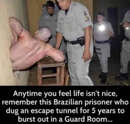 1623461769549