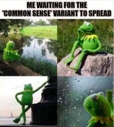 D2ECC689-0FF5-4D33-BA2A-BAD59C1F7DBF