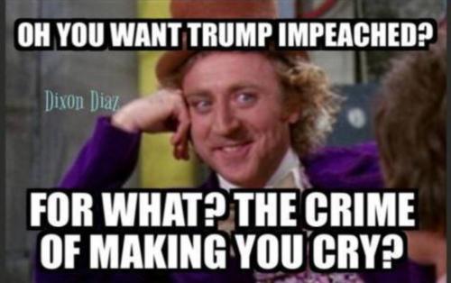 Screenshot_20210604-001105_DuckDuckGo