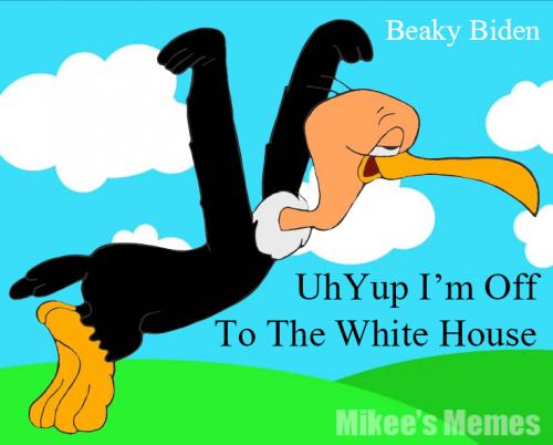 Beaky Biden