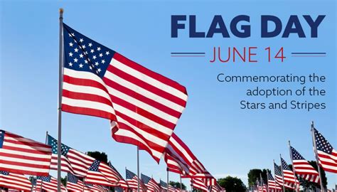 B7B587B0-3D47-4D73-891C-B270D54337EF