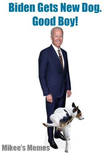 Biden Dog
